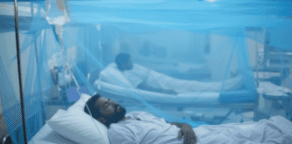 Sindh dengue control