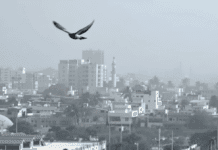 Karachi Set for Dry, Foggy Weather Conditions | Weather News Karachi foggy weather update