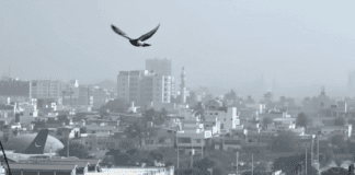 Karachi Set for Dry, Foggy Weather Conditions | Weather News Karachi foggy weather update