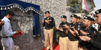 Sindh Police E-Challan helpline