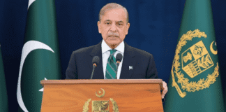 overseas Pakistanis economy